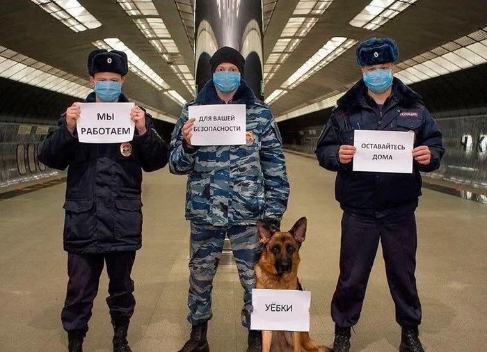 Флешмоб - Юмор, Коронавирус, Из сети, Мат, Photoshop