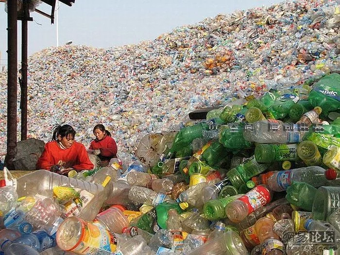 Ученые обнаружили фермент, разлагающий пластиковые бутылки на 90% Пластик, Переработка мусора