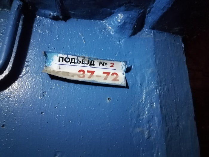 � ���� �����