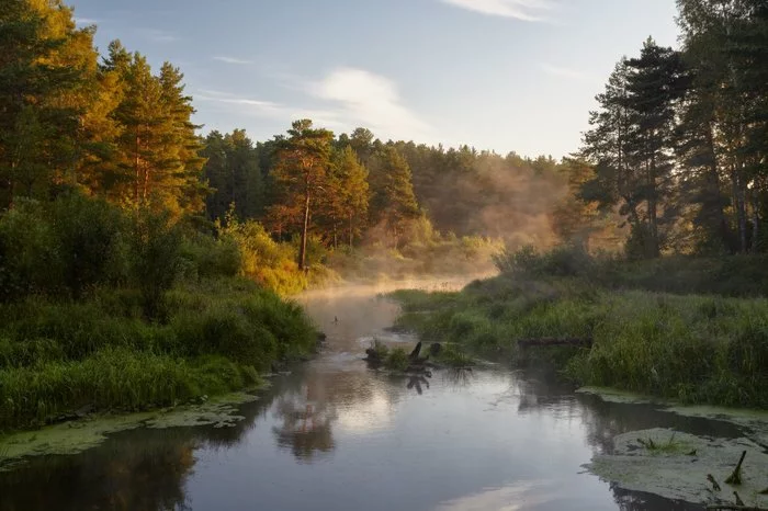 Nerskaya River. Dawn - Vladimir region, River, Water, dawn, Nature, The photo