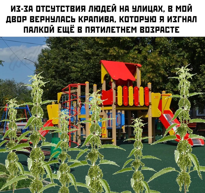 -    ...