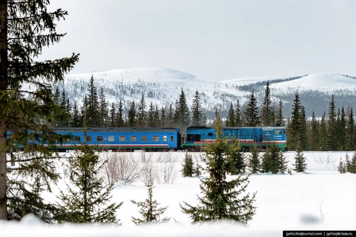 Railways of Yakutia - a highway to the harsh North - Russia, Yakutia, Nature, Railway, A train, Longpost