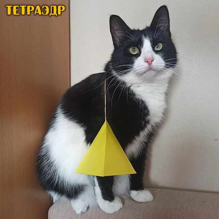 How to make a tetrahedron - My, Polyhedron, With your own hands, Needlework with process, Triangle, Drawing, Geometry, Scan, Video, Longpost, cat