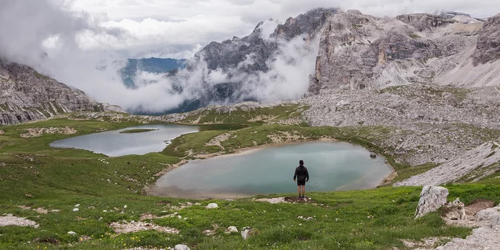 Игра "найди кота" Природа, Фотография, Игры, Photoshop, Кот, Лес, Длиннопост