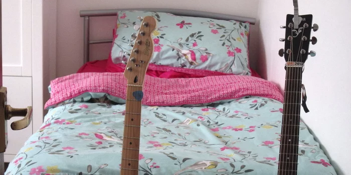 Игра "найди кота" Природа, Фотография, Игры, Photoshop, Кот, Лес, Длиннопост