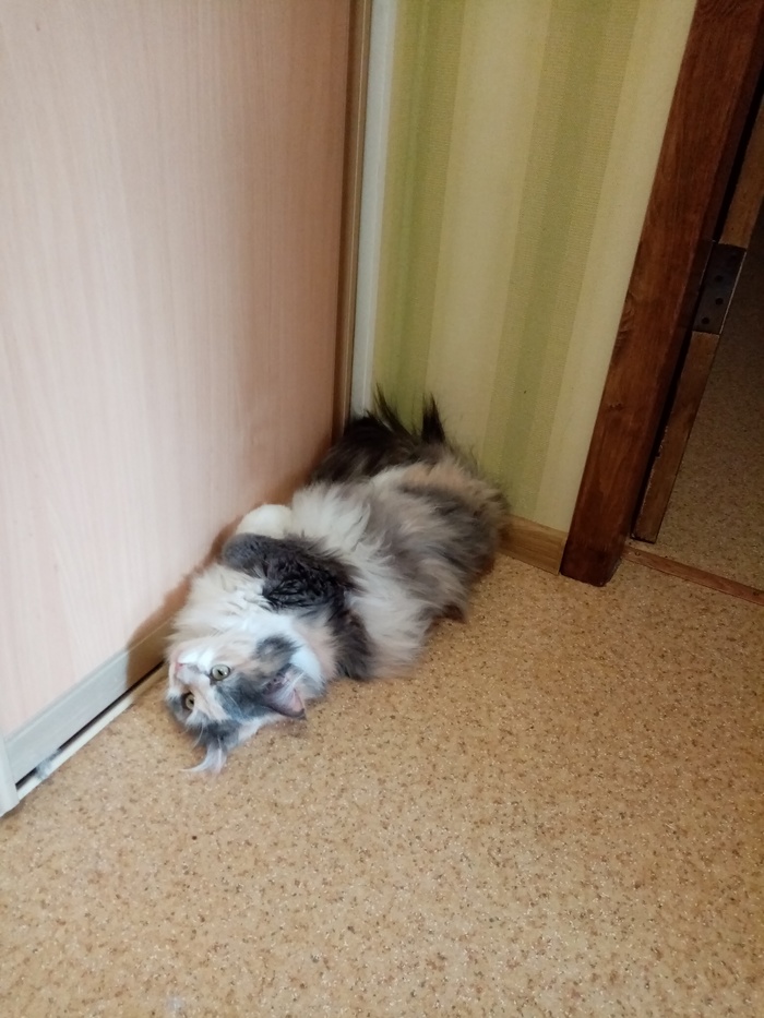 ���������