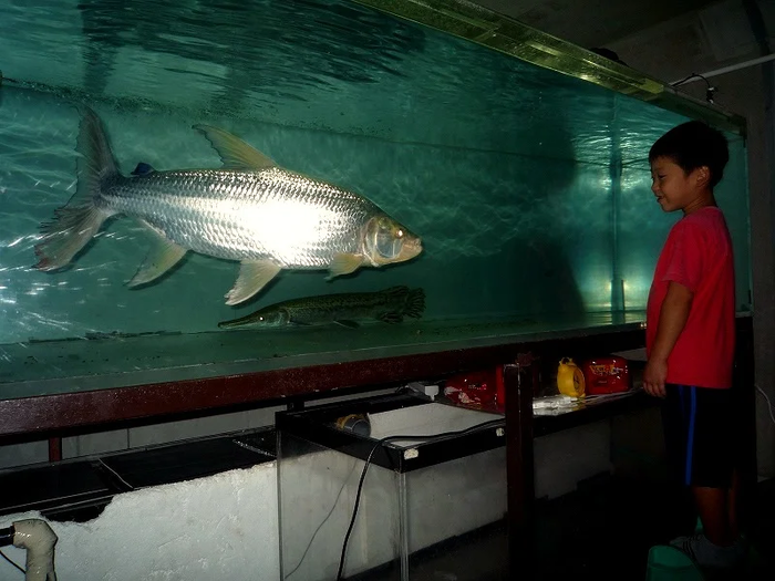 самая вкусная рыба это колбаса. Смотреть фото самая вкусная рыба это колбаса. Смотреть картинку самая вкусная рыба это колбаса. Картинка про самая вкусная рыба это колбаса. Фото самая вкусная рыба это колбаса самая вкусная рыба это колбаса. Смотреть фото самая вкусная рыба это колбаса. Смотреть картинку самая вкусная рыба это колбаса. Картинка про самая вкусная рыба это колбаса. Фото самая вкусная рыба это колбаса