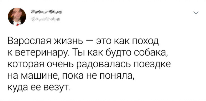 Взрослая жизнь