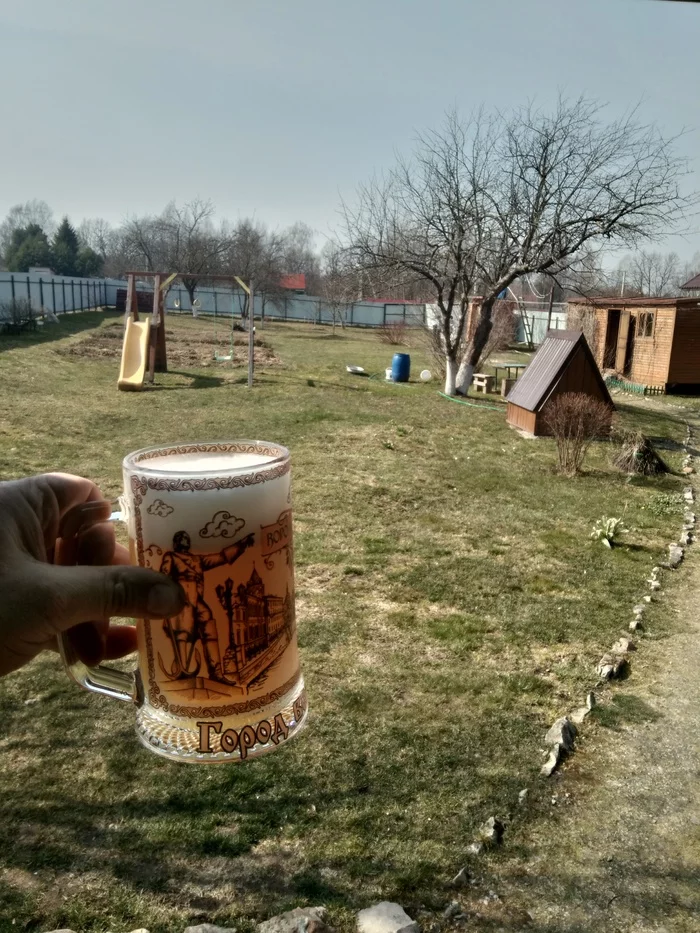 Nature - My, Dacha, Kaluga, Ambulance, Relaxation, The state of nirvana, Кружки, Beer mug