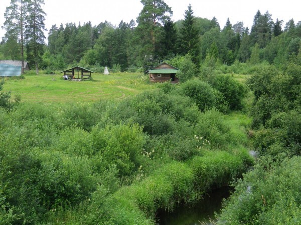 The story of my love for horses and vacation on a horse farm - My, Equestrian Club, Horseback riding, Real life story, Long, Longpost