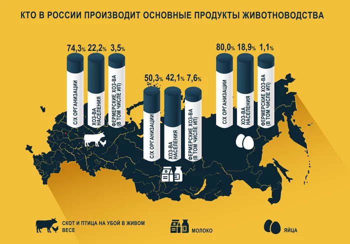 Кто в России производит основные продукты животноводства? - Моё, Интересное, Познавательно, Статистика, Сельское хозяйство, Ферма, Фермер, Продукты, Растениеводство