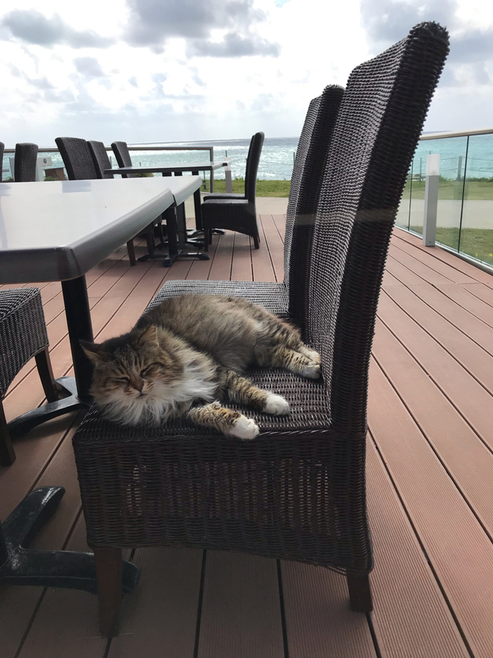 ��� � ������ ��������� � ������ ������. ����. ����� 4