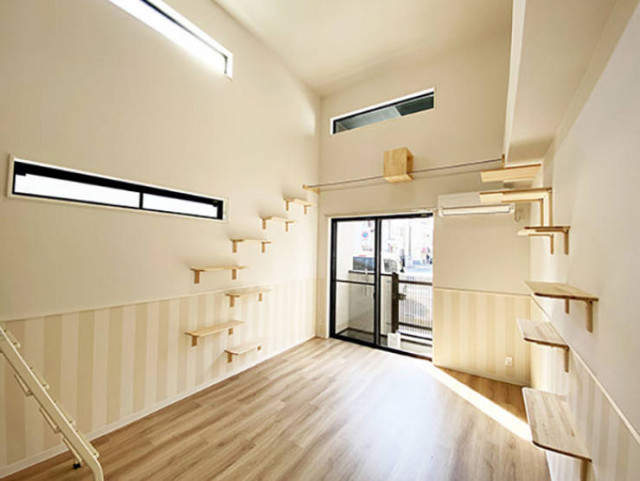 Unusual residential building in Japan designed for single residents with cats - cat, Apartment, Japan, Longpost