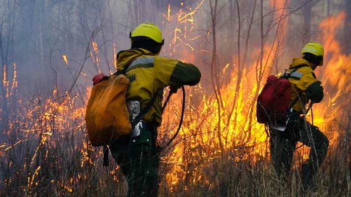 AIR FIRE FIGHTERS OF FBU AVIALESOOKHRANA HELPED DEFEND THE VILLAGE OF ZHIPKOVSHCHINU AND LESNAYA STATION IN THE TRANSBAIKAL TERRITORY - My, Avialesokhrana, Forest, Fire, Pal, Firefighters, Forest fires, Fallen Grass