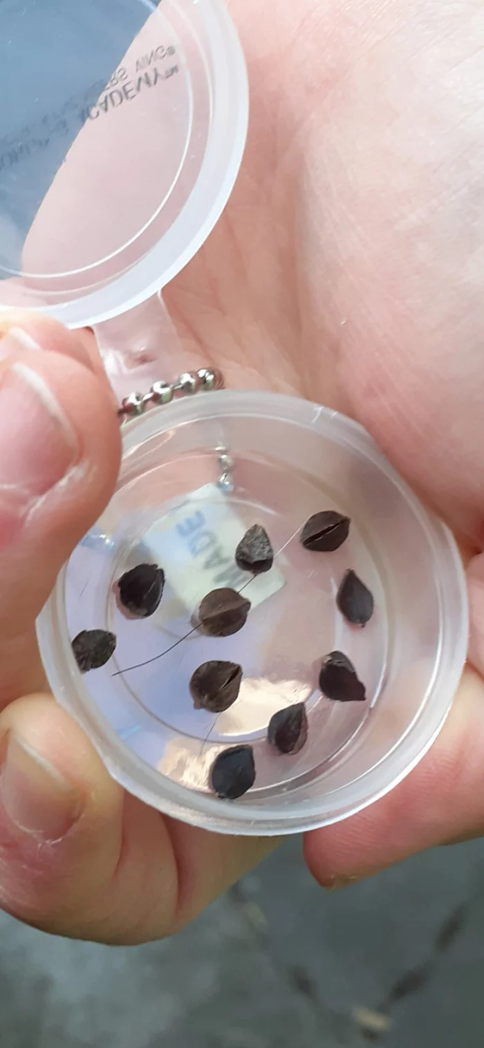 Что это за штука - 86 Перевел сам, Reddit, WhatIsThisThing, Видео, Длиннопост