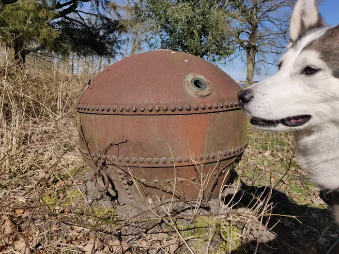 Что это за штука - 86 Перевел сам, Reddit, WhatIsThisThing, Видео, Длиннопост