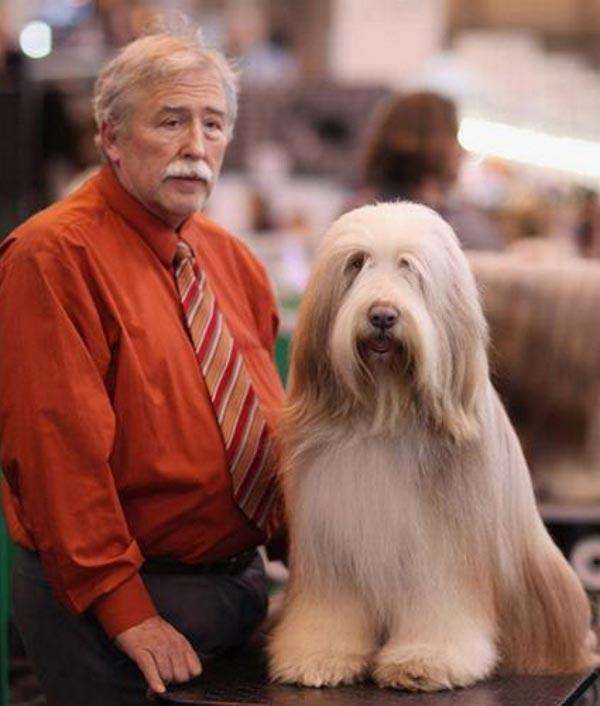 20 People Who Look Exactly Like Their Pets - Animals, Dog, Similarity, Longpost