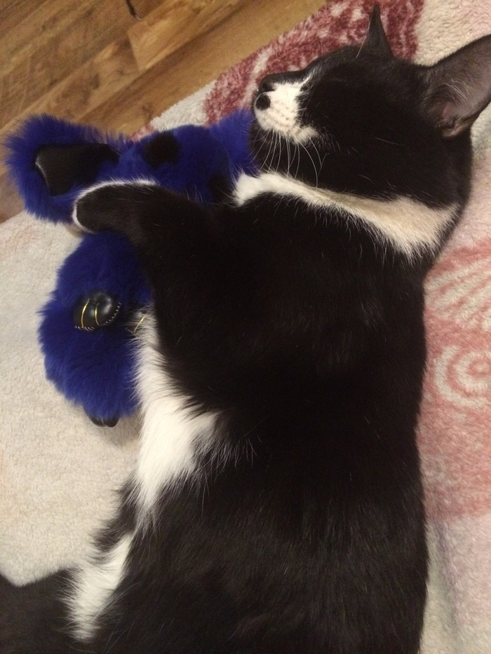 ��� ������� ���� ����?