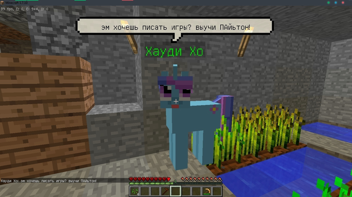  :    ? ,  , , , Python, Minecraft, My Little Pony