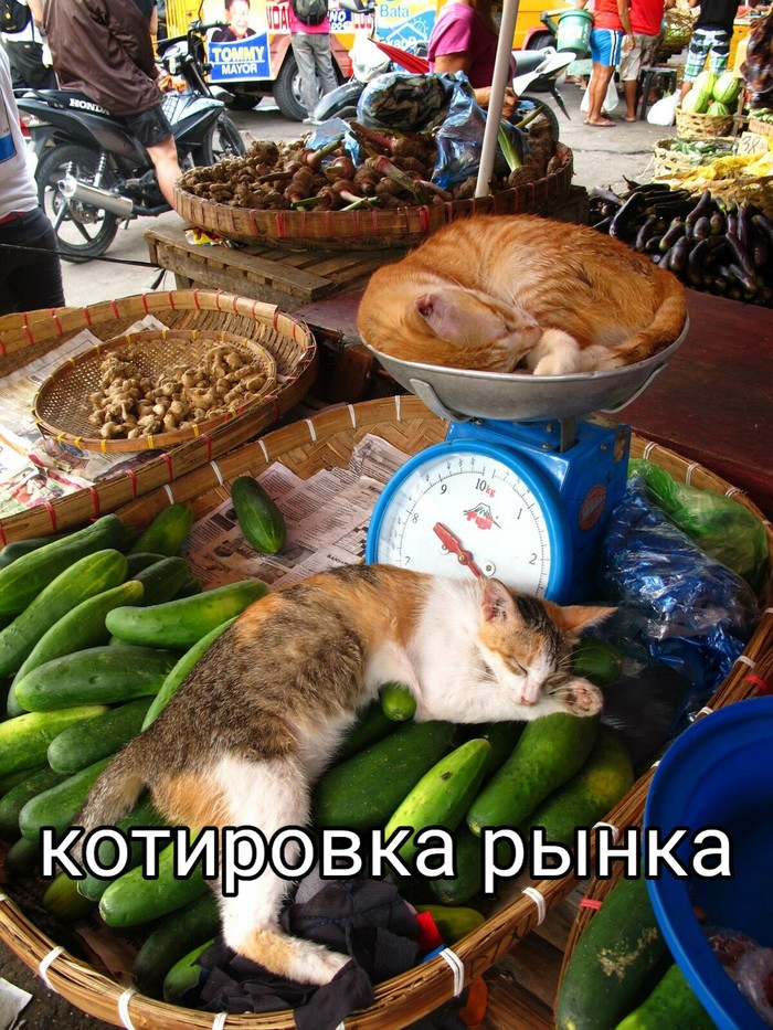 Посмеялся сам - поделись с другом!!!