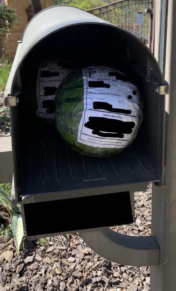 When you really want it, you won’t skimp on courier delivery. - mail, Mailbox, Watermelon, Express delivery
