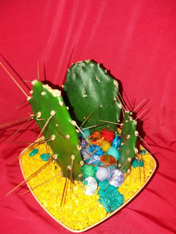 Homemade cacti)) check it out - My, Cactus, beauty, Longpost