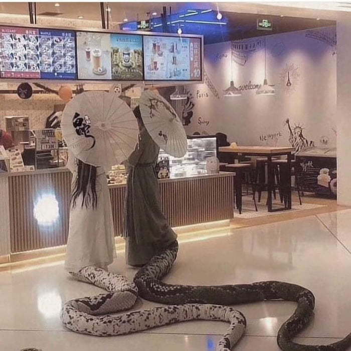 Relax, it's only Japan - Japan, Asian, Snake, Costume, 9GAG