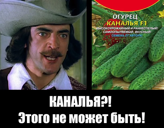 Canal!!!! - Mikhail Boyarsky, Memes, Rascal, Rave