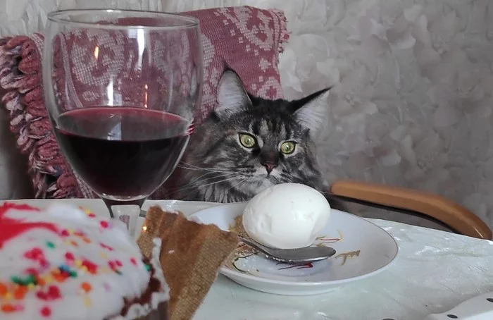 Easter cat is not amused - My, Easter, Maine Coon, Easter eggs, Kulich, Wine, The futility of being, cat