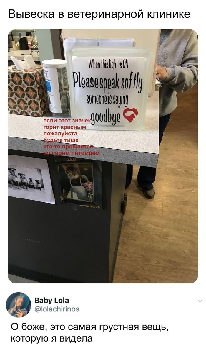 Очень трогательно