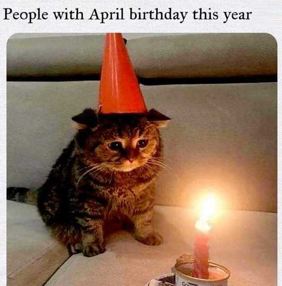 People whose birthday is in April - cat, Birthday, Images, Picture with text, April