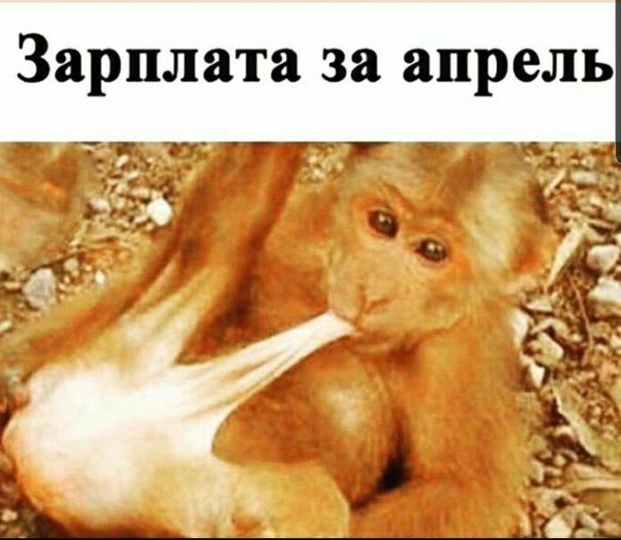 О зарплатах