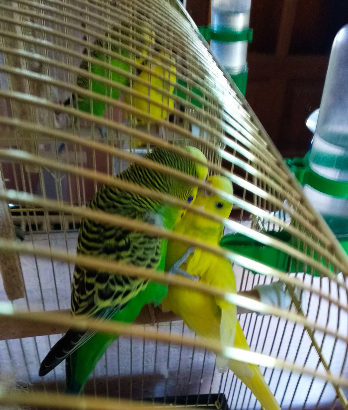 �� ��� �� ������ � �������?