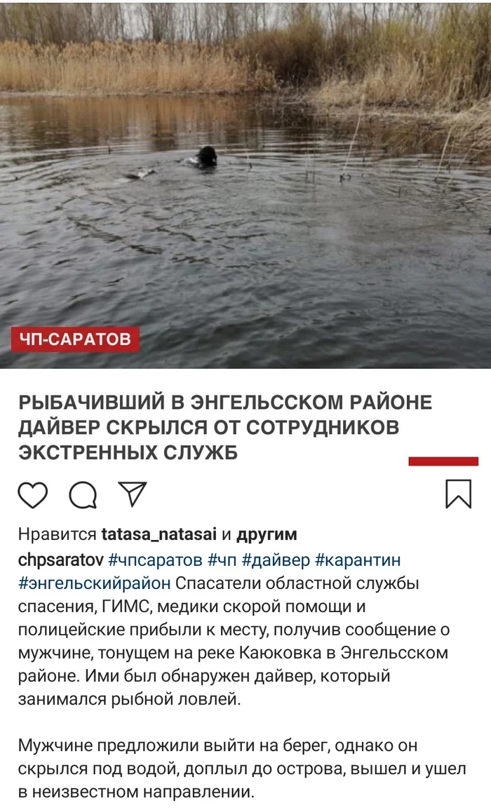 The main thing is to leave gracefully...) - news, Saratov, Ichthyander, Spearfishing, Engels city, Screenshot