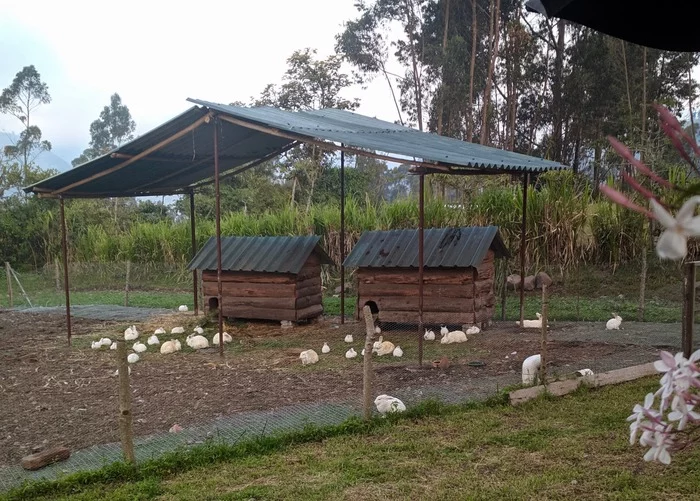 Про жизнь индейцев в Андах Эквадор, Индейцы, Анды, Жизнь в горах, Длиннопост