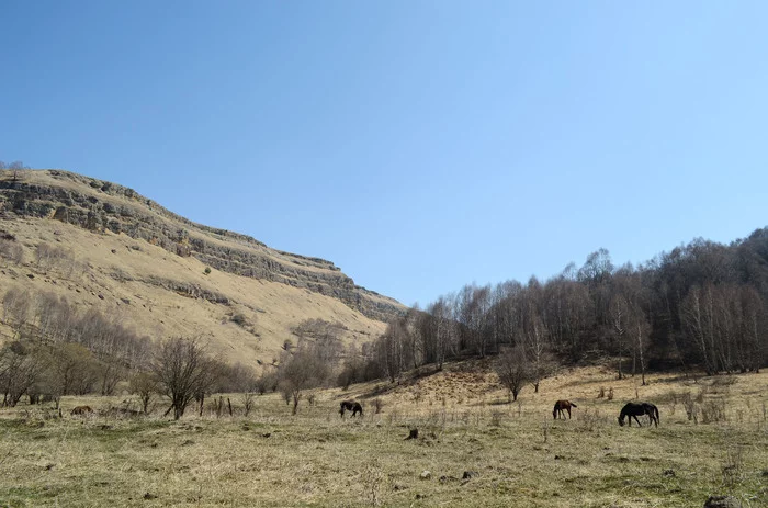 There can be only mountains better than mountains! - My, The mountains, Caucasus, The photo, Tourism, Gorge, Longpost