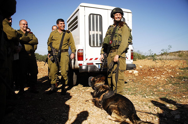 Israeli special forces war dogs - Special Forces, Israel, Dog, Service dogs, Tsakhal, Longpost