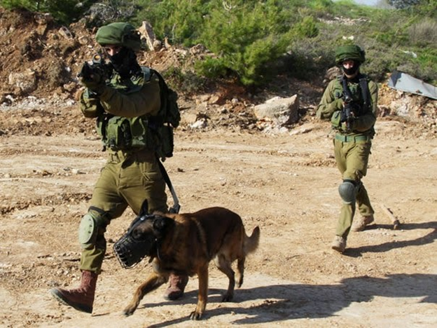 Israeli special forces war dogs - Special Forces, Israel, Dog, Service dogs, Tsakhal, Longpost