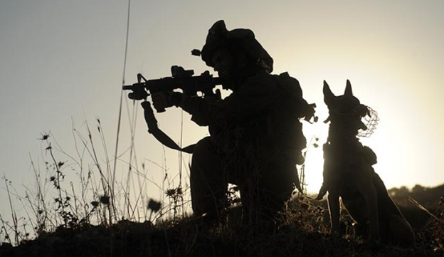 Israeli special forces war dogs - Special Forces, Israel, Dog, Service dogs, Tsakhal, Longpost