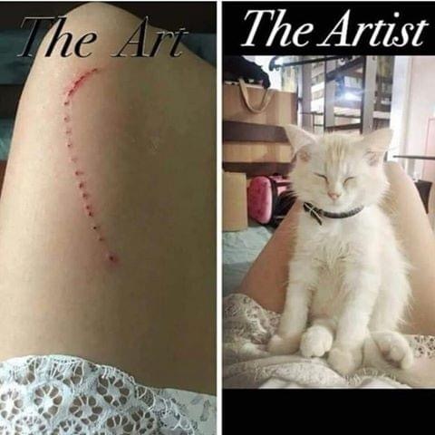      )