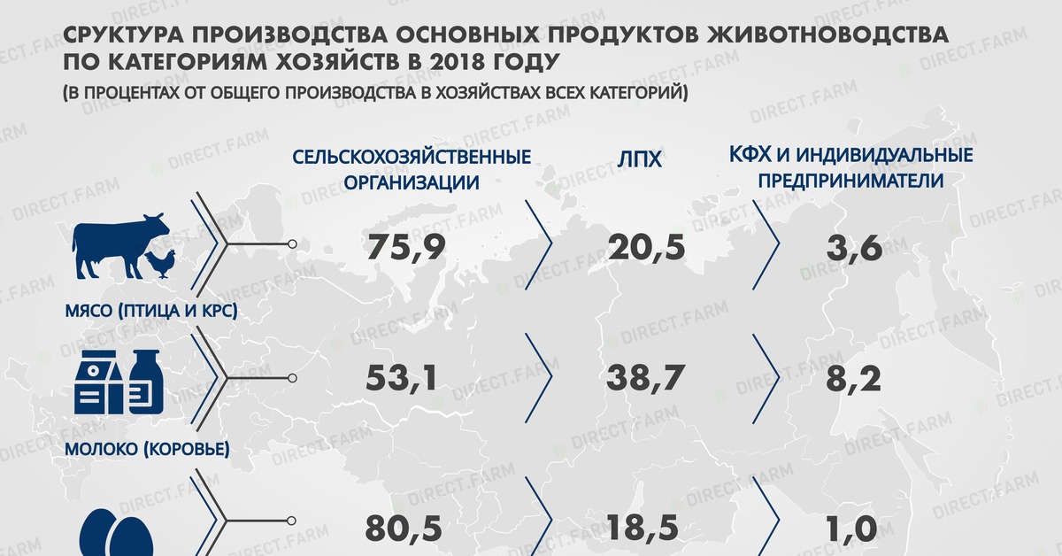 Категории хозяйств. Животноводство статистика. Структура производства КРС. Животноводства по категориям. Количество продукции в животноводстве.