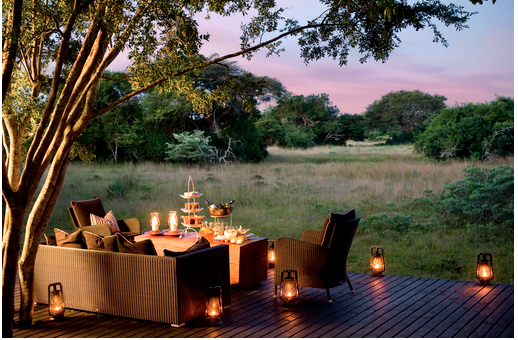 Five star luxury in the middle of the African jungle - My, Africa, South Africa, Safari, 5 stars, Video, Longpost