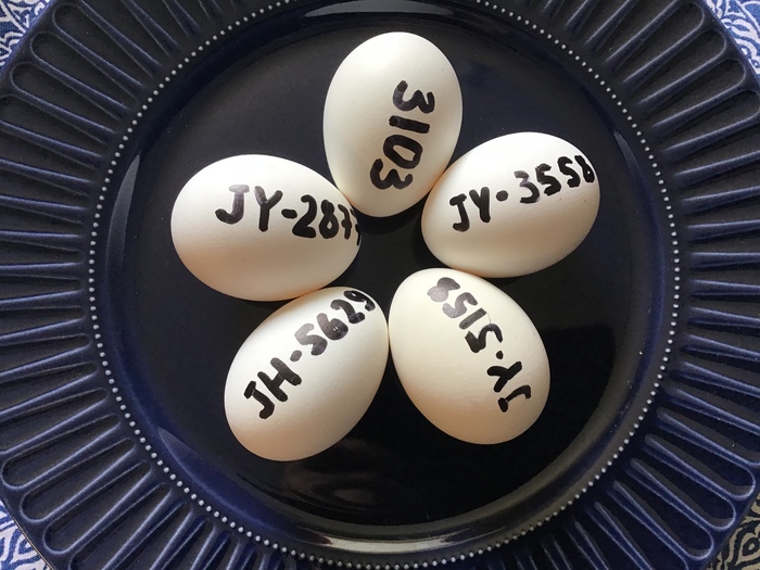 Если поручить покраску яиц керамисту