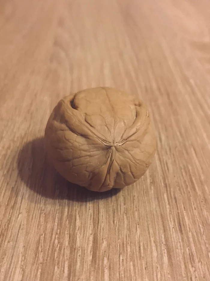 Trilobed walnut - My, Walnuts, Unusual, Luck, Rarity, Botany, Luck, Longpost
