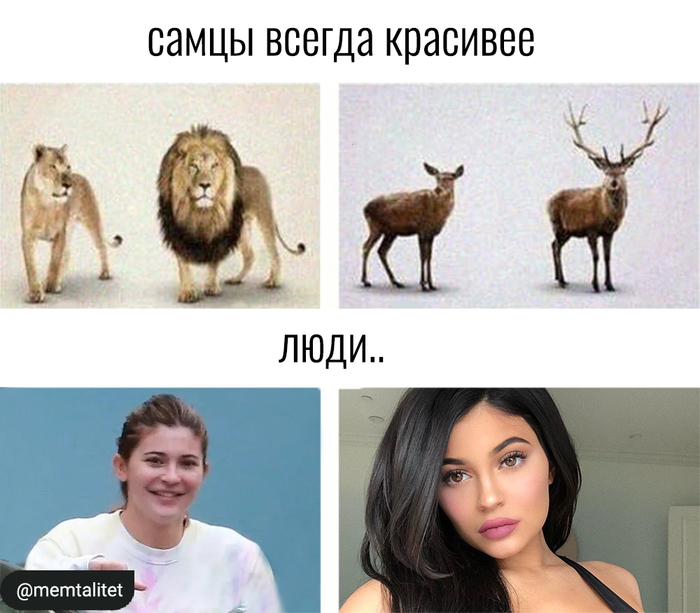 ,  )