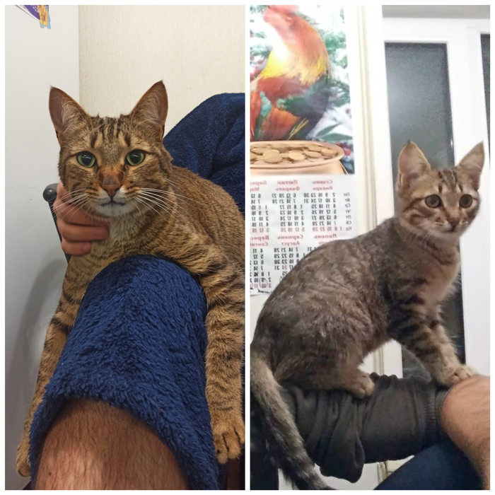 ���� ������� �����/����