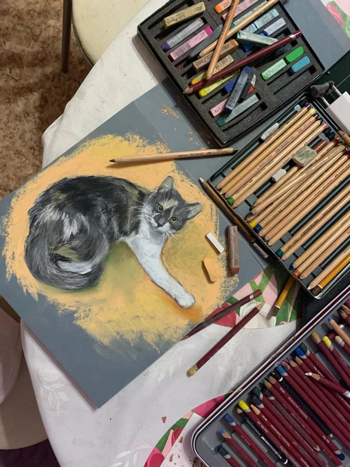 Baby cat named Busya - My, cat, Pastel, Drawing, Sketch, Animals, Artist, Painting, Moscow, Longpost