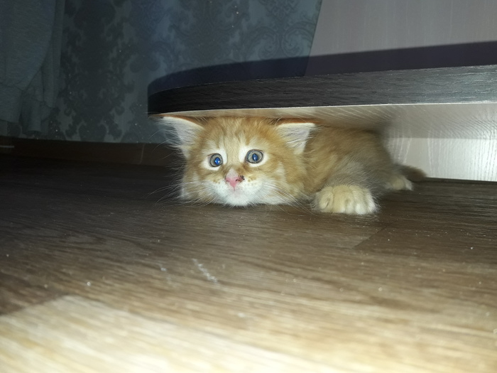      -, , 