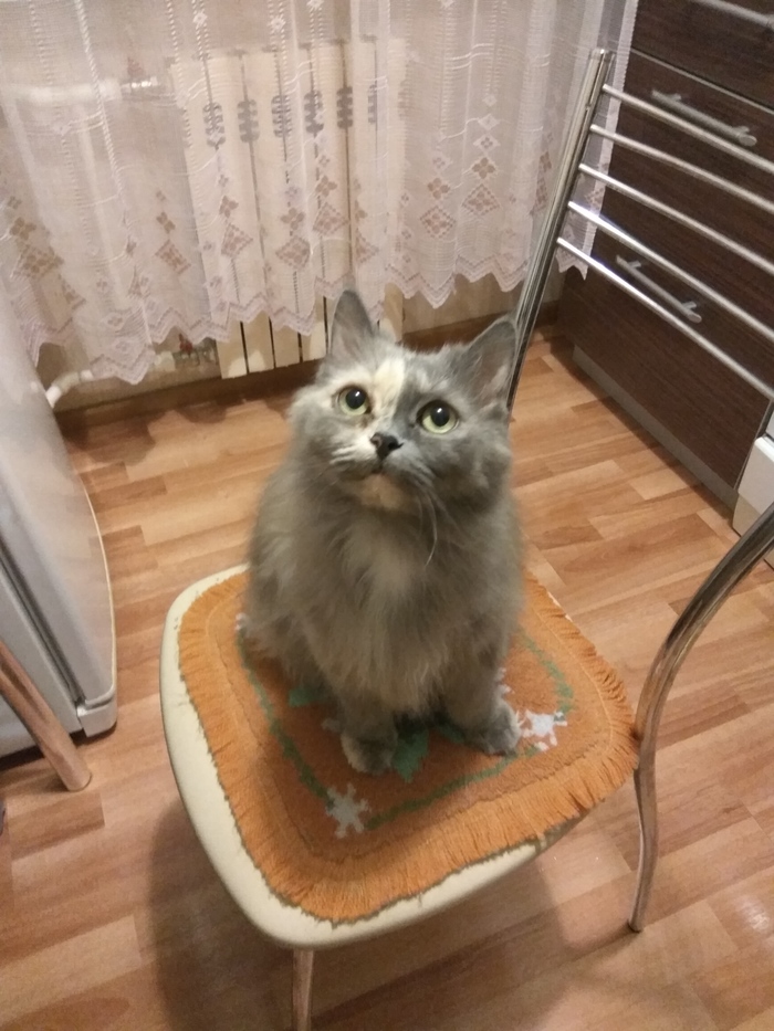  - -, , 