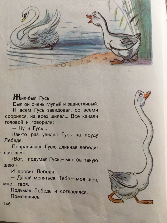 Metamorphoses of a goose - Story, Humor, Longpost